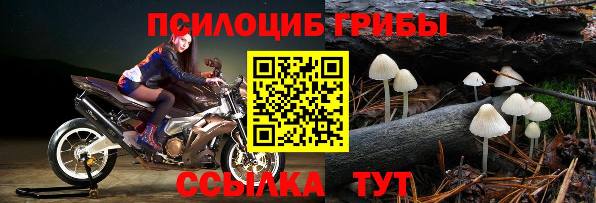 Галлюциногенные грибы Cubensis Ессентуки