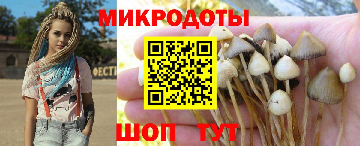 Ессентуки  Псилоцибиновые грибы Cubensis  Вход с VPN 